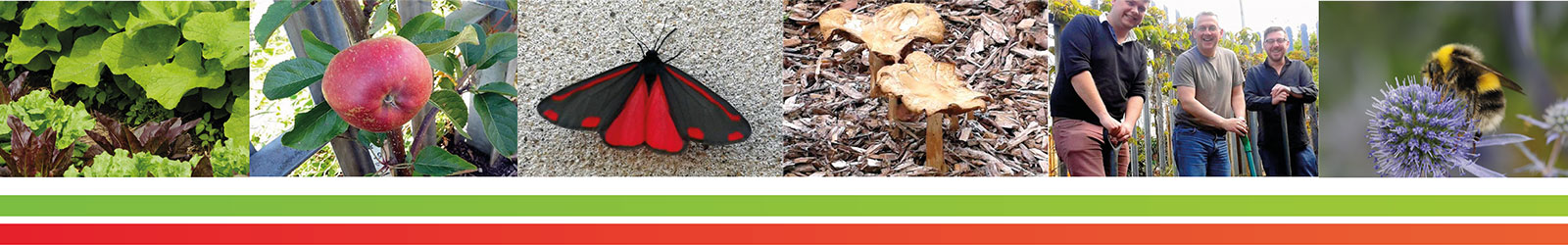 brynmill banner garden